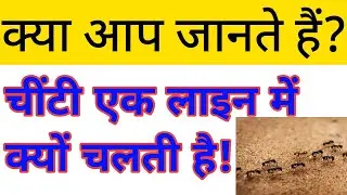 क्या आप जानते हैं 🤔 | चिंटिया एक लाइन में कैसे चलती है? | Physics ka vvi questions | 