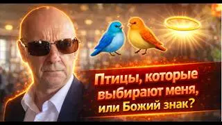 Разбилась об стену, я поднял бездыханное тельце.