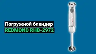 Блендер REDMOND RHB 2972 (2022)