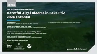 Forecast for Harmful Algal Blooms in Lake Erie 2024
