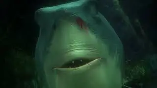 Procurando Nemo ( Cena Dos Tubarões)