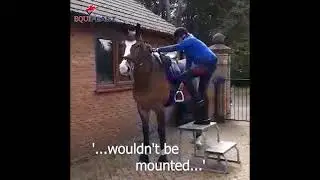 The little things that delight