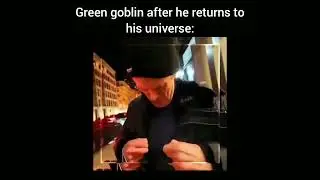 Willem dripfoe returns to his universe