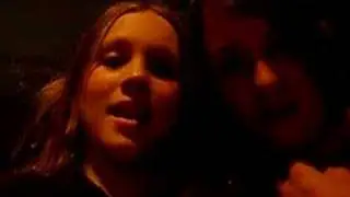 Animal Sex Song