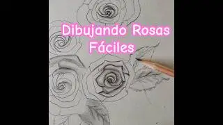 Dibujando Rosas Sencillas Y Fáciles Con Lápiz
