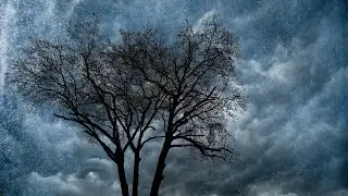 Rain Relaxation Music| Rainy Music for Sleep| Soothing Music for Sleep
