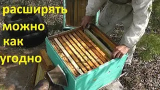 расширение семей в мае