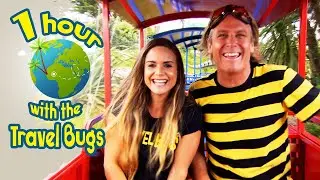 1 Hour of the best kids educational entertainment! Visit a Farm, a Dinosaur Kingdom & Tour a Bus!