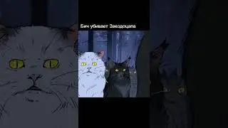 Untitled video