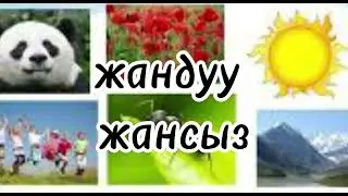 Кыргыз тил|Каратма сөздөр