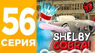 ПУТЬ ИГРОКА #56 НА БЛЕК РАША! - ПЕРЕКУП РЕДКОЙ SHELBY COBRA на BLACK RUSSIA!