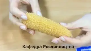 Агробіологічний факультет 2