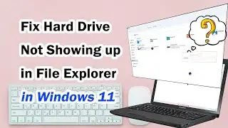 Fix Hard Drive/USB Disk Not Show Up in File Explorer  [Windows 11&10]
