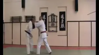 боевое каратэ