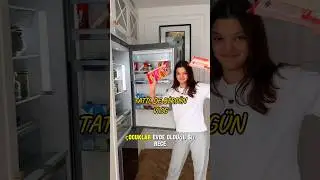 Little holiday vlog