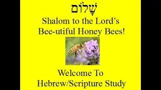 Hebrew Scripture Class 2 - Shabbat 
