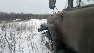 По яйца снега, по шею стебли!