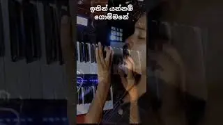 ඉතින් යන්නම් ගොම්මනේ