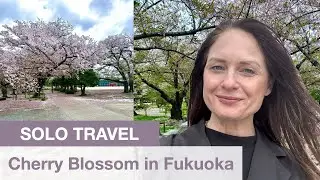 Escaping Reality: Solo Travel Adventure | Cherry Blossom in Fukuoka