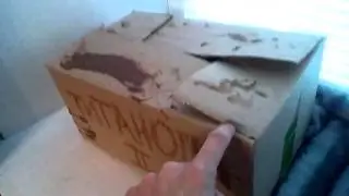 Такая-то пародия