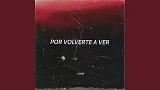Por Volverte a Ver