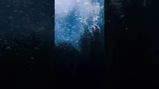Billie Eilish 🌊👀 🔜 