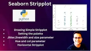 Seaborn Stripplot Tutorial: Visualize Your Data Effectively