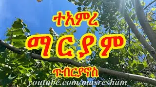 ተአምረ ማርያም - ጥብርያኖስ - Teamire Mariam - Tibryanos