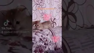 5 марта 2021 г.