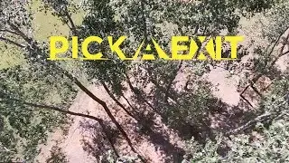 Wont Be Flying Here Much Soon | Backyard | FPV