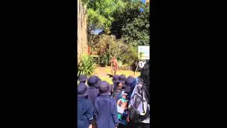 Maori welcomd dance