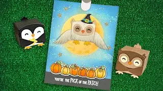 Intro to Tiny Gift Box Owl and Penguin Add-On