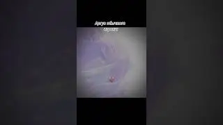 #млбб #аргус