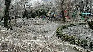 Гололёд в Краснодаре 21 января 2014