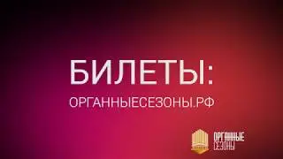 Человек-оркестр. Франсис Видиль (Франция)
