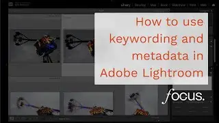 How to use keywording and metadata in Lightroom