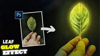 🌿 Create a Stunning Leaf Glow Effect in Photoshop ✨ | Beginner-Friendly Tutorial 🎨