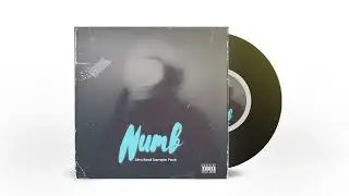 Afrobeat Sample Pack | 2023 |Numb