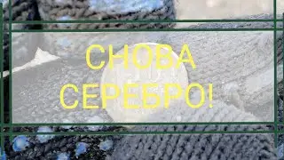 СНОВА СЕРЕБРО! КОП МОНЕТ 2021, КОП ПО СТАРИНЕ 2021, КОП С TX850