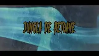 Neon feat. J Saw & XPL, disu - Jungla de betoane || Paranoia! Please Mixtape Vol. 2