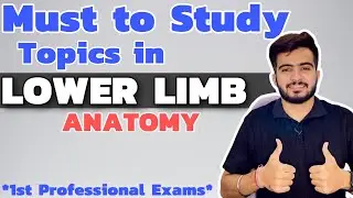 Must to Study Topics in Lower Limb | 1st Year Professional Exams