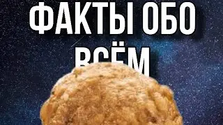 ФАКТЫ ОБО ВСЁМ