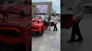 Lambo girl 