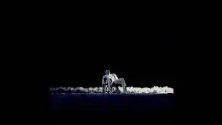 Dvk. - 原石 (Official Audio)