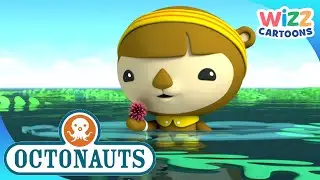 ‪@Octonauts‬