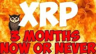 Ripple XRP MY HEART IS RACING A BIRDY JUST TOLD ME GET READY AHHHHHHHHHH!!!