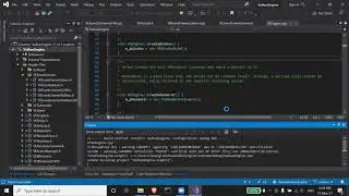 vve compile and run