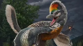 How did birds successfully dominate the sky? | Evolution Story