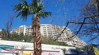 ОДЕССА 09.04.2024 АРКАДИЯ!