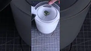 Botanical Candle Holder💐Full tutorial is live. #diycandle #candlemaking
